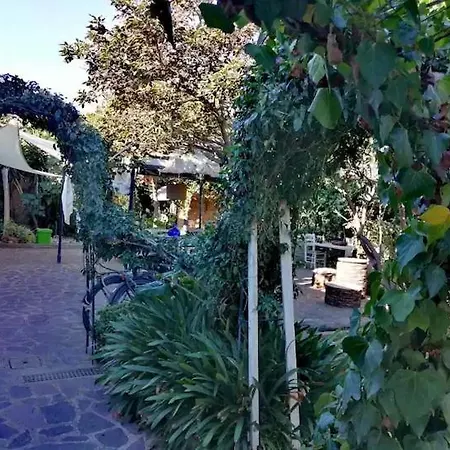 2 *